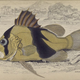 Illustration for article titled Natural History of Fishes of the Perch Family